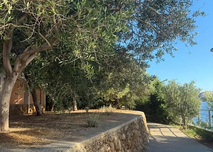 Coastal Dream Apartamento