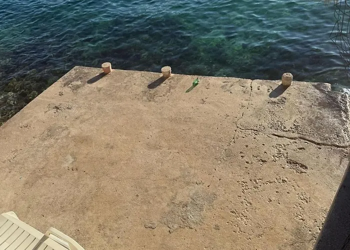 Coastal Dream Kovacic