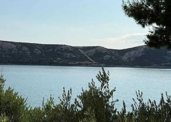 Coastal Dream * Kovacic